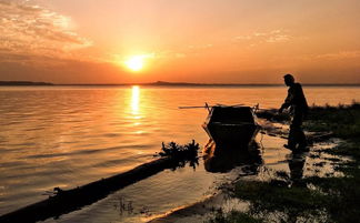 光影瞬間，生活之美 手機(jī)攝影作品精選賞析